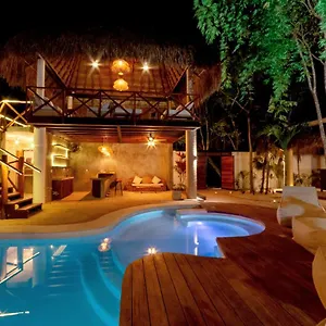 Mimosa , Tulum Mexiko